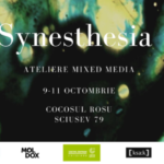 Synesthesia: ateliere de mixed media cu Marie Donath din Germania